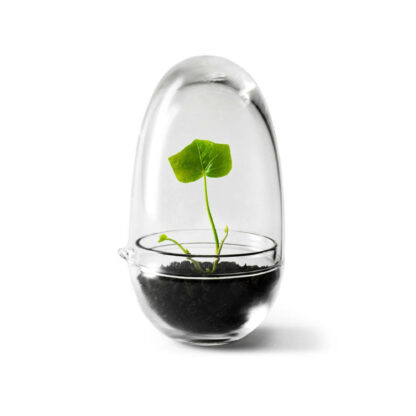 Designtorget Växthus Grow Glas