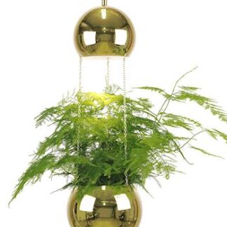 Taklampa Mini Planter (Mässing/guld)
