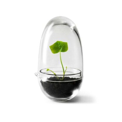 Växthus Grow Glas S